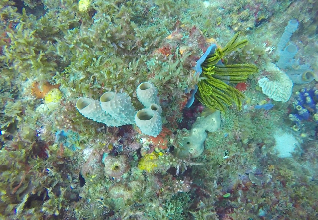 Capture d’écran 2016-02-07 à 17.59.15