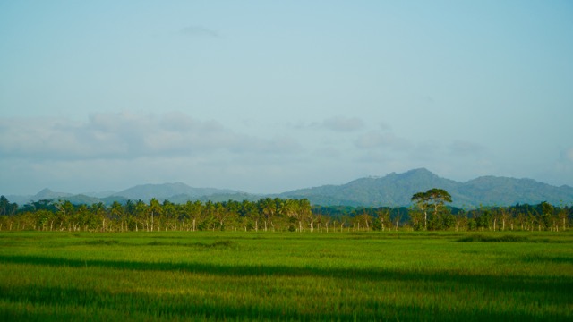 DSC04641