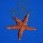 DSC04072.jpg