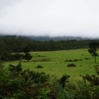 DSC04315.jpg