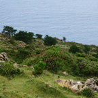 DSC04318.jpg