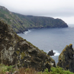 DSC04332.jpg