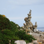 DSC04384.jpg