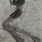DSC04385.jpg